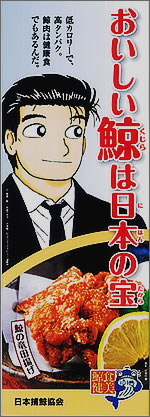 おいしい鯨は日本の宝（低カロリーで高タンパク。鯨肉は健康食でもあるんだ。